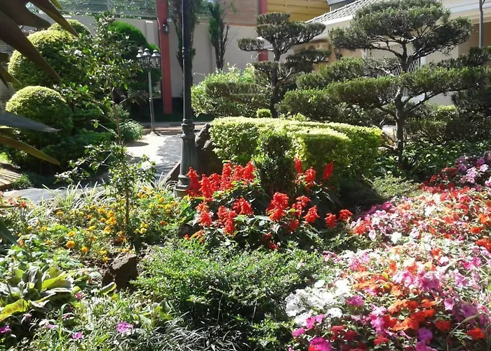 Hotel Arthur Shambala