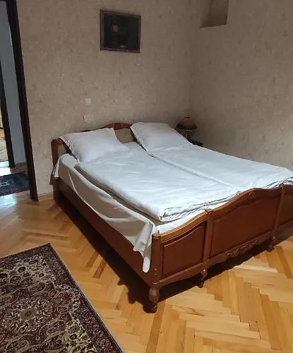 Სასტუმრო Ამელი/Hotel Ameli