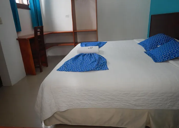 Hotel La Gran Tortuga - ᯤ Starlink