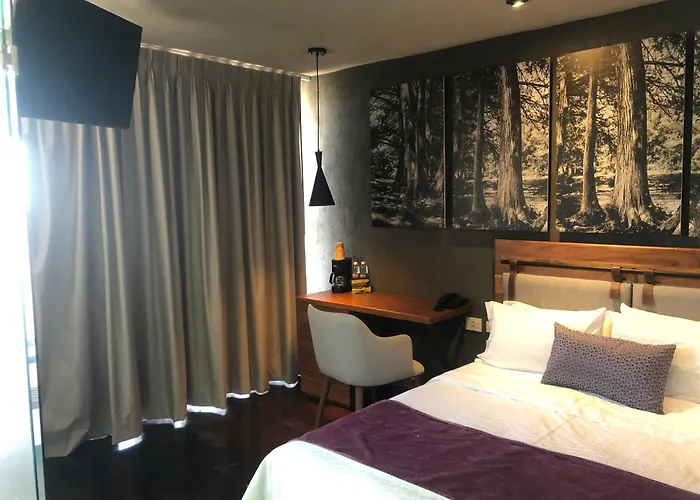 Gamma Monterrey Rincon De Santiago