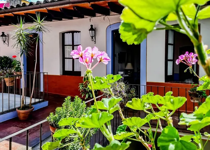 Meson Del Alferez Xalapa