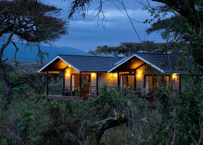 Ngorongoro Lion'S Paw
