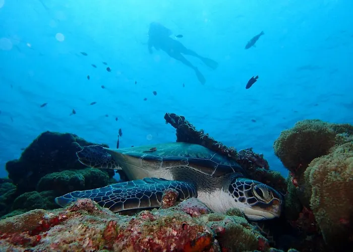 Manta Reserve