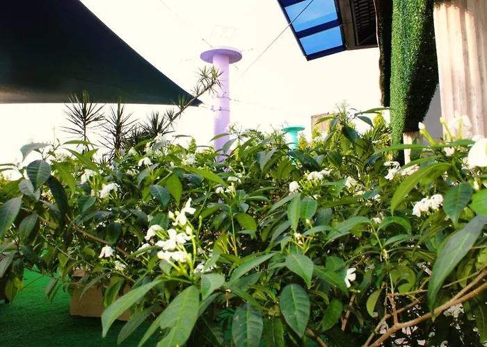 Hotel Casa Miller