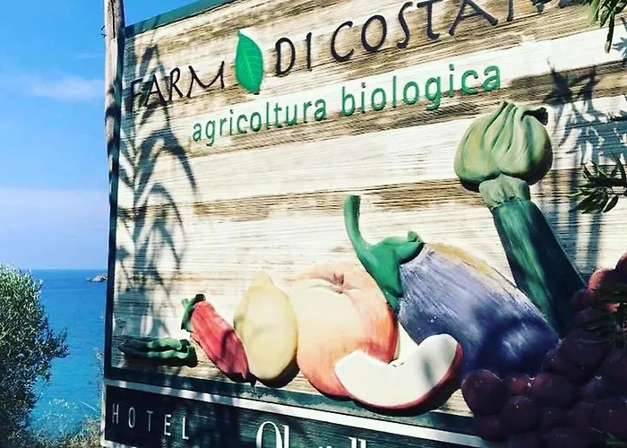 Albergo Olmitello - cucina vegetariana bio e tradizionale