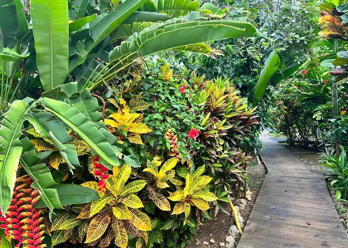 Jamaica Colors Hotel&Eco-Retreat