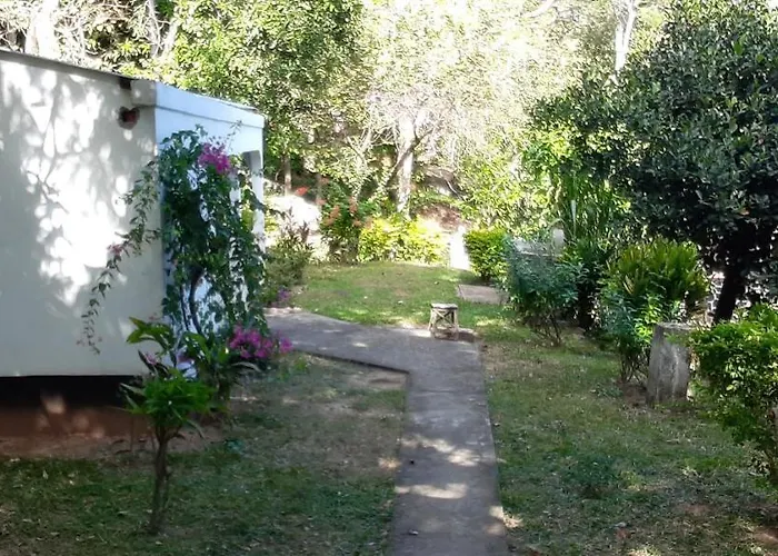 Le PANORAMIQUE ANKIFY