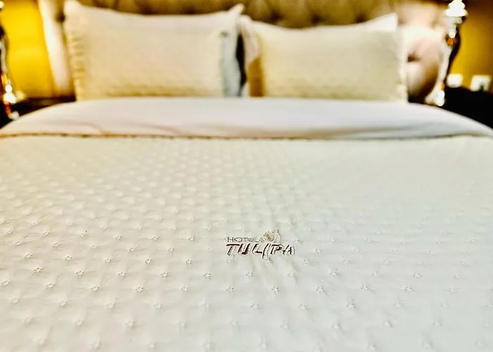 Hotel Tulipa
