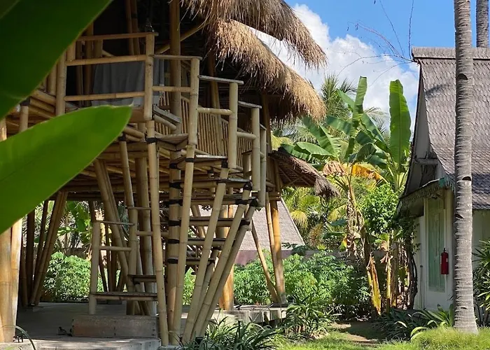Captain Coconuts Gili Air