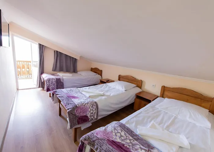 Hotel Zemo Aragvi