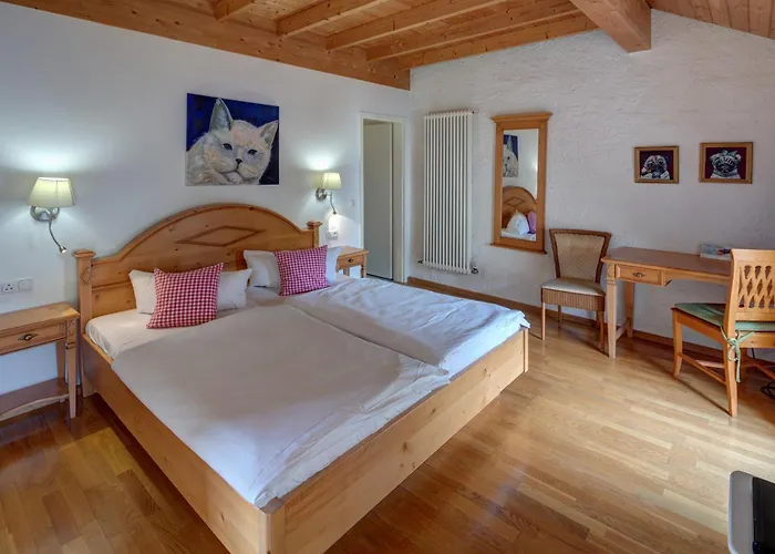 Hotel Leander