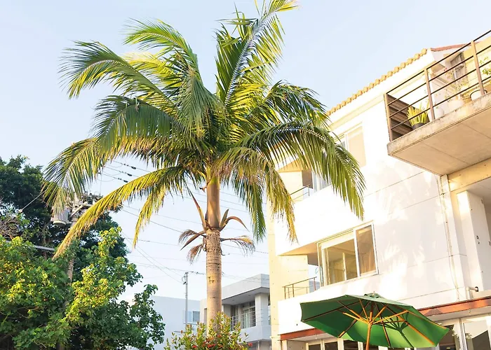 Sky Ocean Ishigaki - 8-Room Beachfront Family Run Eco Hotel
