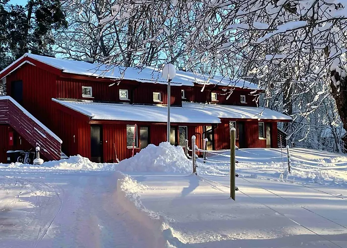 Kvarnen I Borgvik