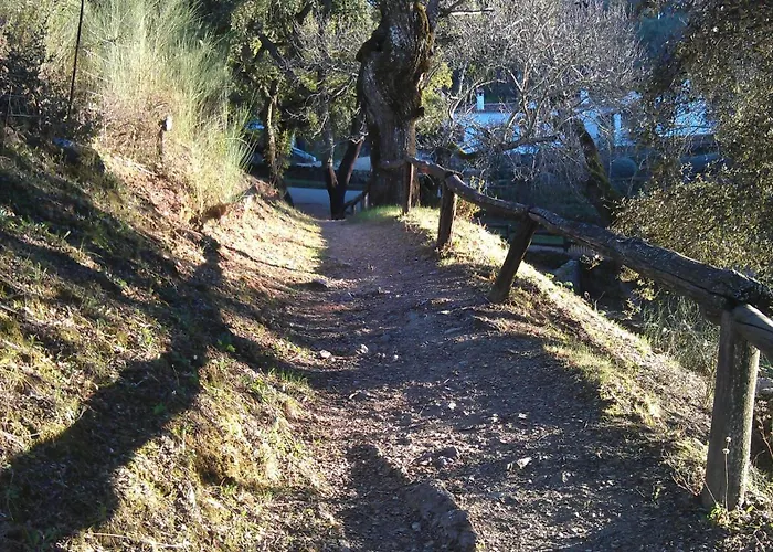 Finca Valbono Apartamentos Rurales Y Hotel