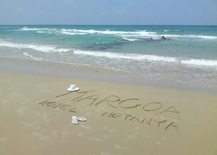 Margoa Hotel Netanja