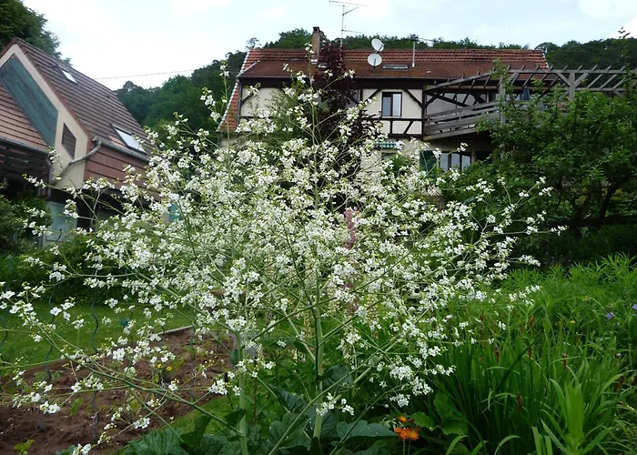 Alsace Village