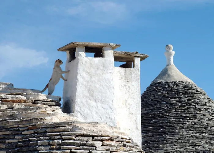 B&B Corso Trieste e Trento Alberobello
