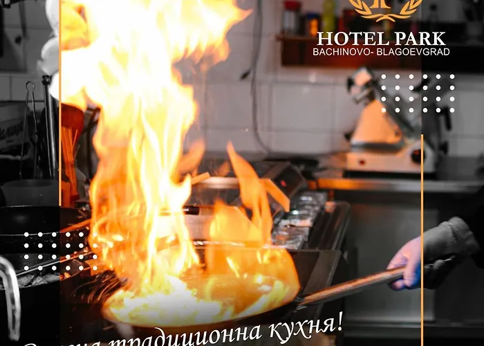 Hotel Park Bachinovo