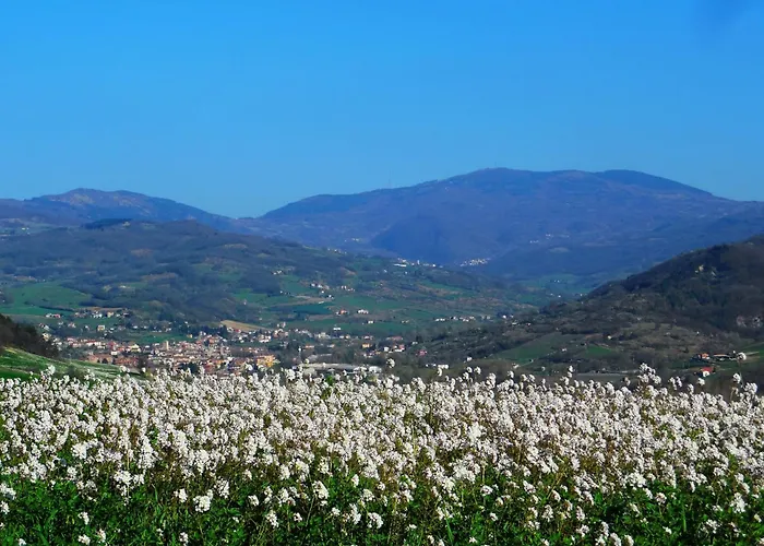Park Hotel Salice Terme - OltrePò Pavese -