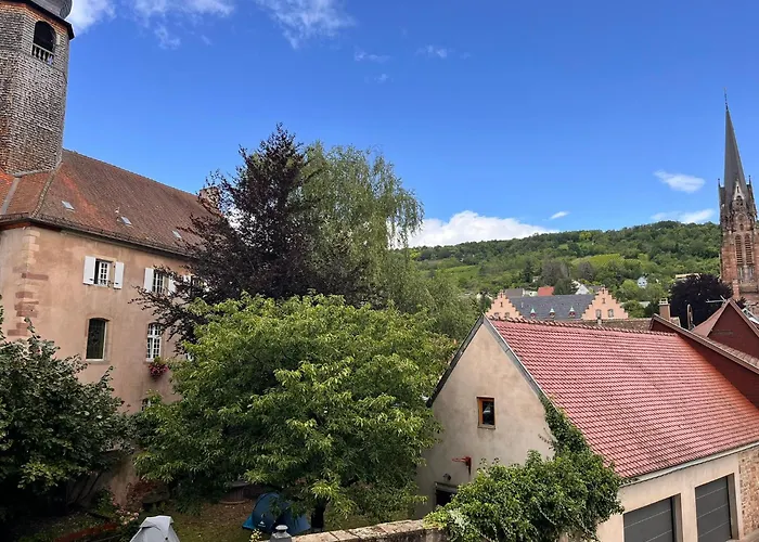 L'Ours de Mutzig - Hôtel Restaurant&Spa