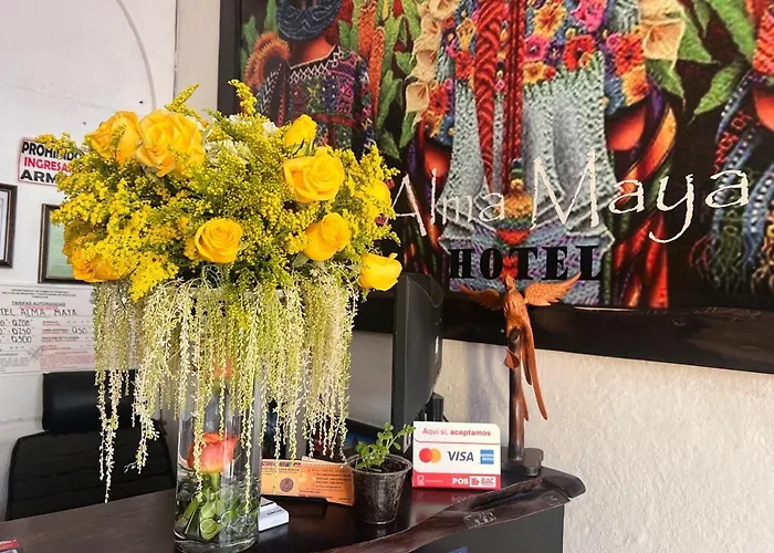 Hotel Alma Maya