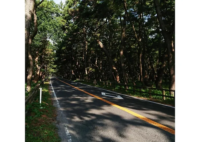 Asuka Hotel - Vacation Stay 59964V
