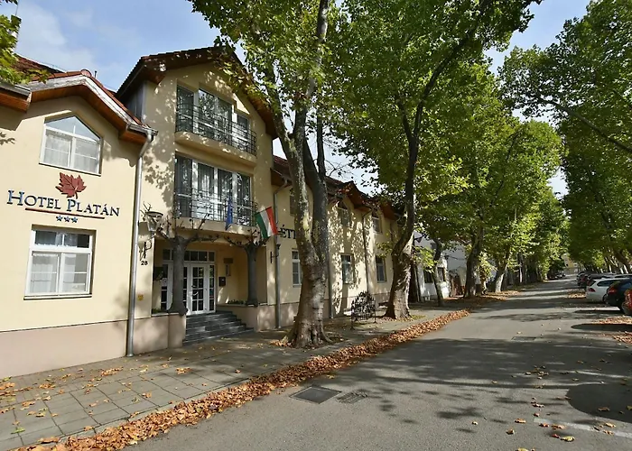 Hotel Platan