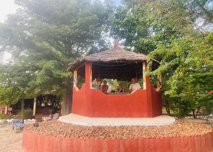 Les Calaos Du Saloum