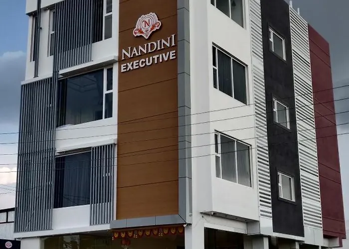 Nandini Executive Lodge