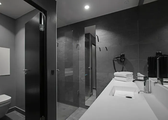 Four Points Flex By Sheraton Hillerod