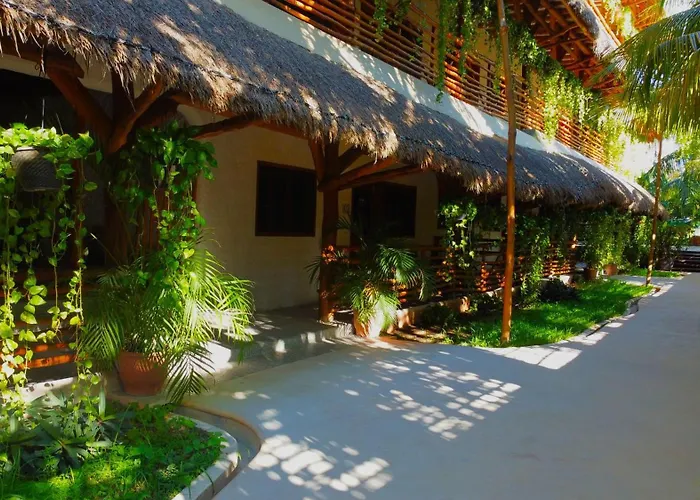 La Palma Holbox
