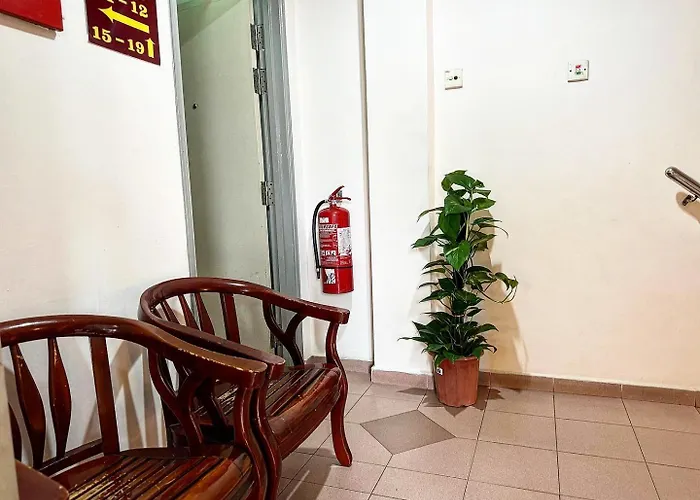 Town Inn Hotel - Rainforest