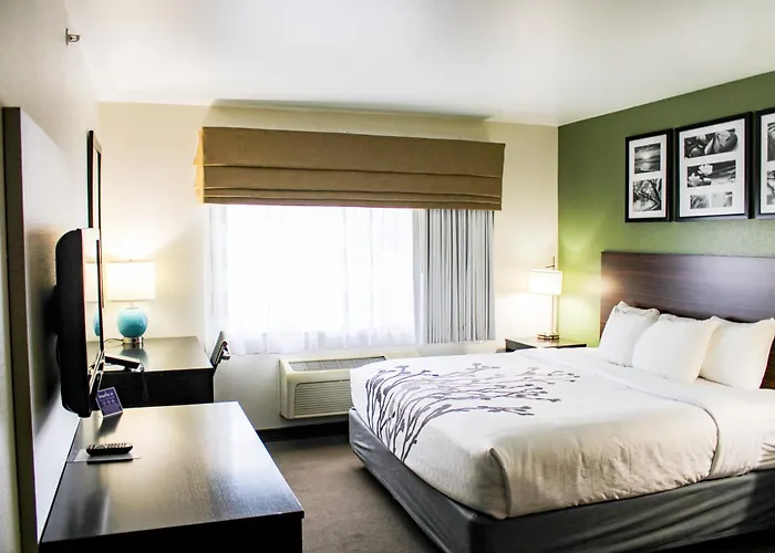 Sleep Inn & Suites Conference Center Eau Claire North