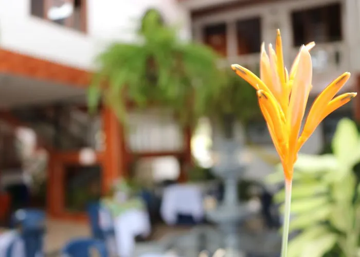 Hotel Colonial - Honda -