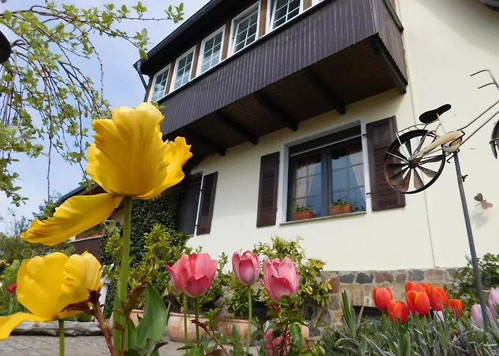 Pension Wiesenhof B&B