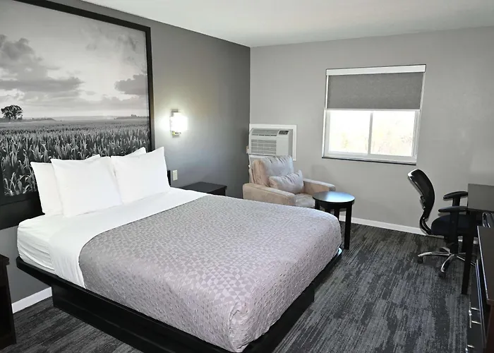 Super 8 By Wyndham Higginsville
