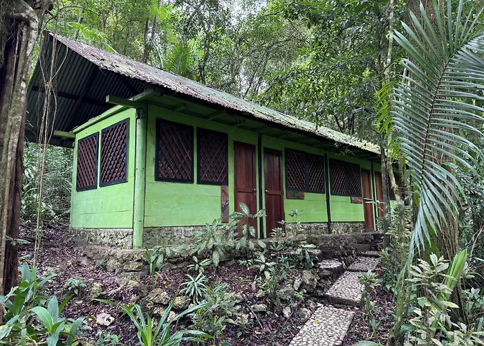 Finca Tatin
