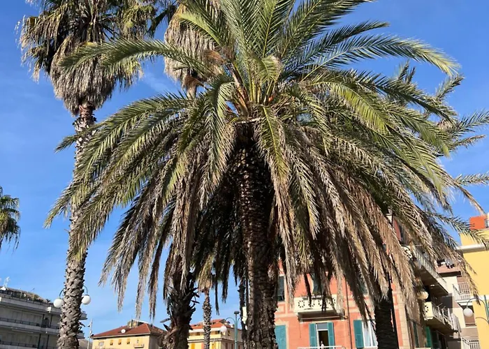 Hotel & Garden