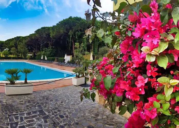 Horse Country Resort Congress & Spa - Hotel Medar