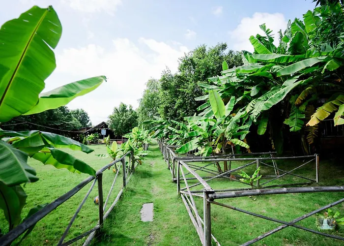 Hampi Waterfall Cottages