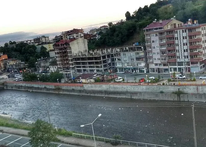 Paluri Otel Hopa