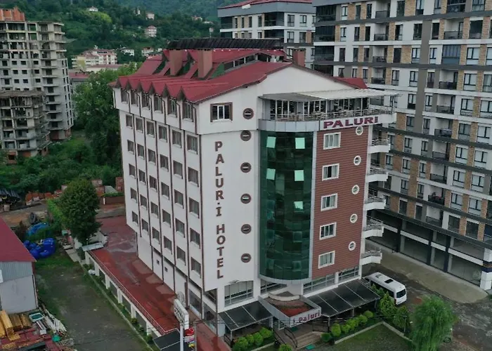 Paluri Otel Hopa