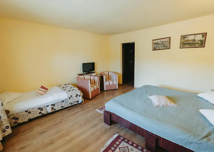 Hotel Transilvania
