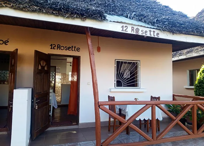 Aloé&Rosette