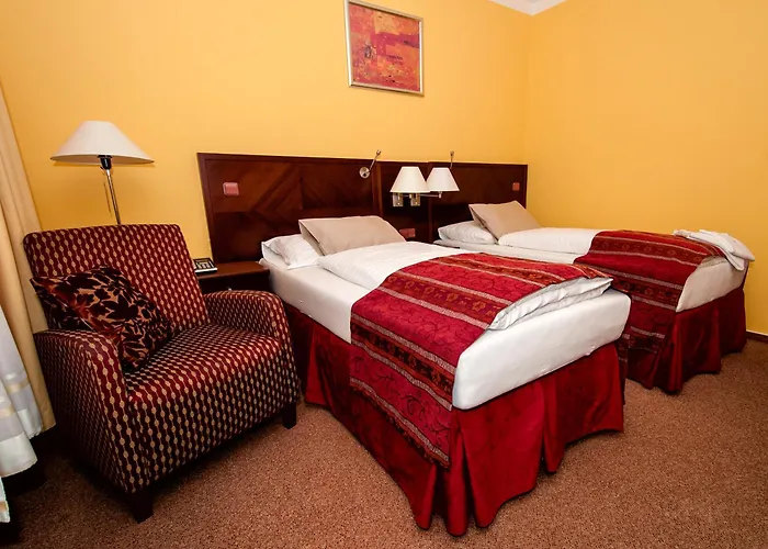 Hotel Merica Bor