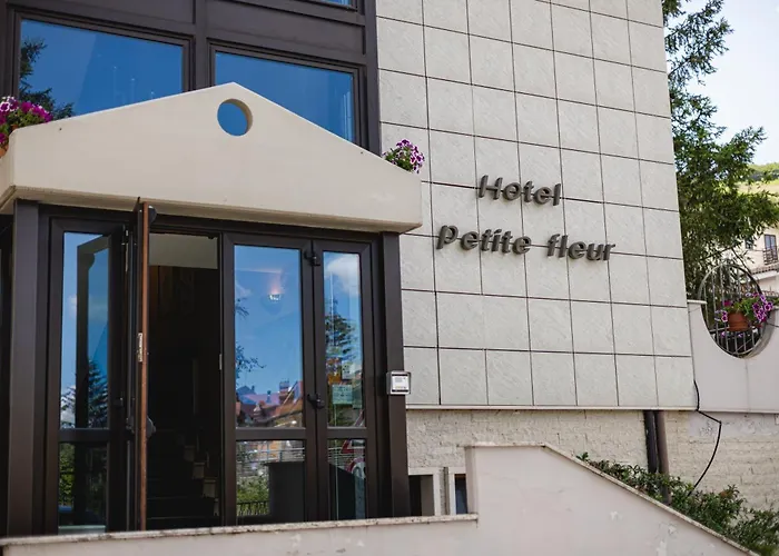 Hotel Petite Fleur