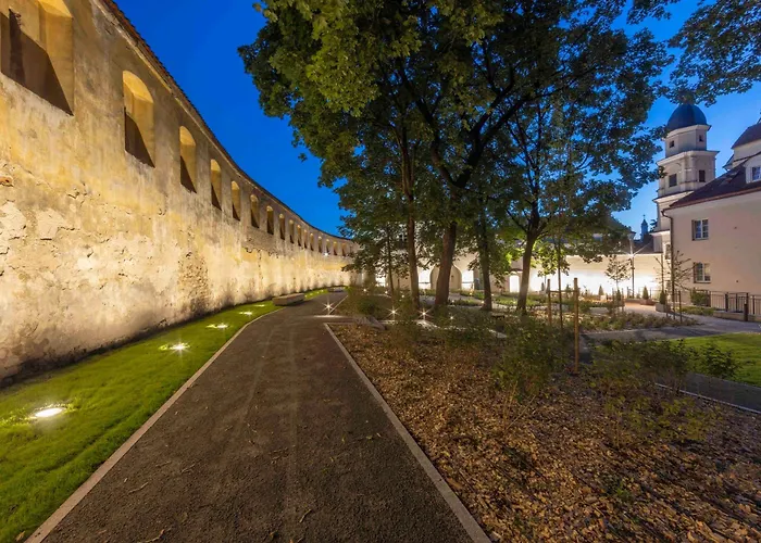 Domus Maria