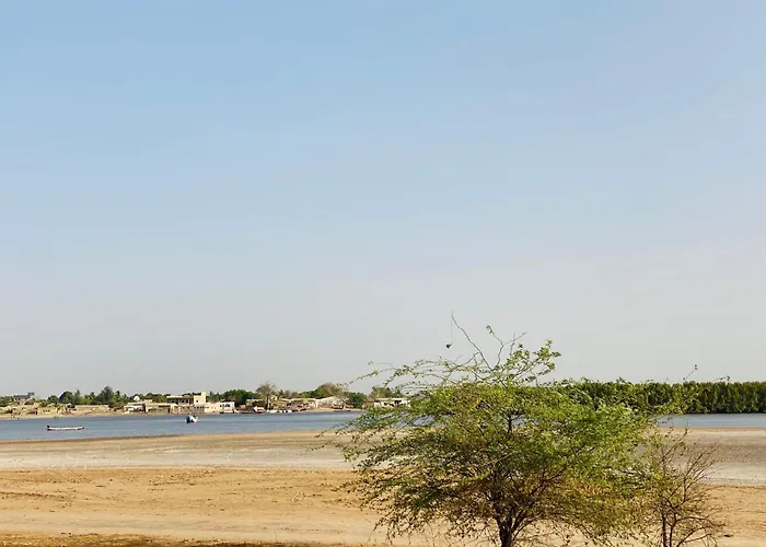 Les Calaos du Saloum