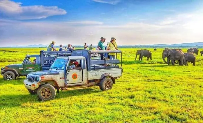 Safari Olee Villa