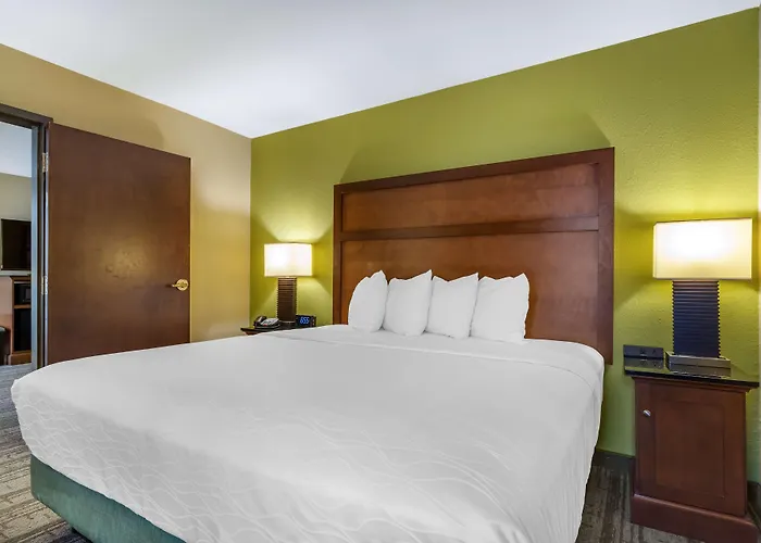 Best Western Plus Houston Energy Corridor